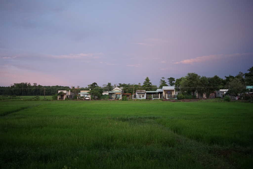 A small field near Saigon